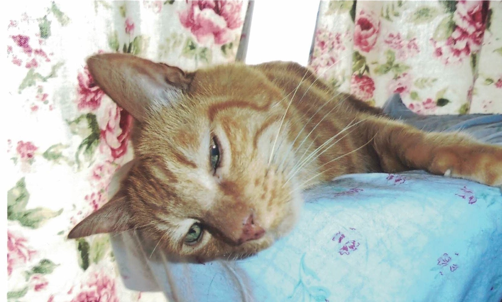 Citadel Road Editions